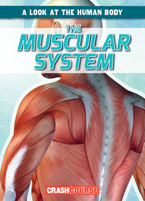 The Muscular System - Edwards, Jonas