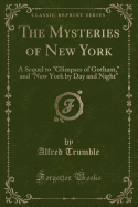 The Mysteries of New York: A Sequel to "glimpses of Gotham," and "new York by Day and Night" (Classic Reprint)