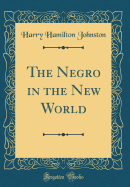 The Negro in the New World (Classic Reprint)