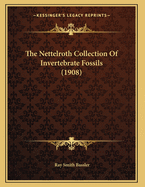 The Nettelroth Collection Of Invertebrate Fossils (1908)