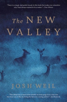 The New Valley: Novellas - Weil, Josh