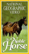 The Noble Horse - Willumsen, Gail