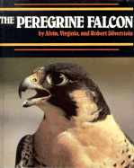 The Peregrine Falcon