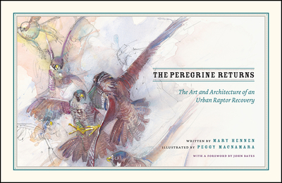 The Peregrine Returns: The Art and Architecture of an Urban Raptor Recovery - Hennen, Mary, and Ware, Stephanie (Photographer)