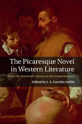 The Picaresque Novel in Western Literature - Garrido Ardila, J A (Editor)