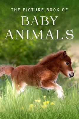 The Picture Book of Baby Animals: A Gift Book for Alzheimer's Patients and Seniors with Dementia - Books, Sunny Street