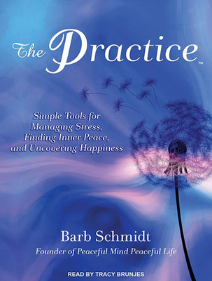 The Practice: Simple Tools for Managing Stress, Finding Inner Peace, and Uncovering Happiness - Schmidt, Barb, and Brunjes, Tracy (Narrator)