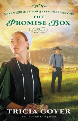 The Promise Box - Goyer, Tricia