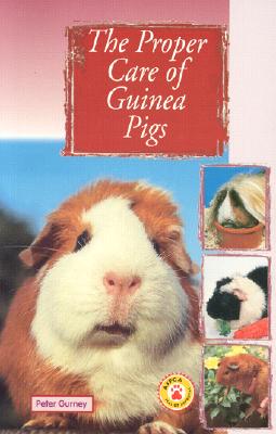 The Proper Care of Guinea Pigs - Gurney, Peter