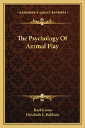 The Psychology Of Animal Play