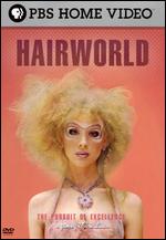 The Pursuit of Excellence: Hair World - Mark Lewis