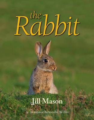 The Rabbit - Mason, Jill, MPH, and Mason, David (Photographer)