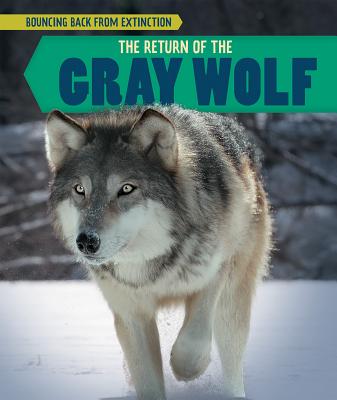 The Return of the Gray Wolf - McAneney, Caitie