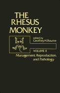 The Rhesus monkey