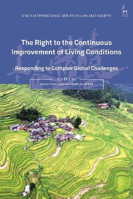 The Right to the Continuous Improvement of Living Conditions: Responding to Complex Global Challenges - Hohmann, Jessie (Editor), and Hunter, Rosemary (Editor), and Goldblatt, Beth (Editor)