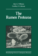 The Rumen Protozoa