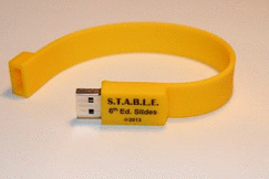 The S.T.A.B.L.E. Program Learner/Provider USB Flash Drive - Karlsen, Kristine A