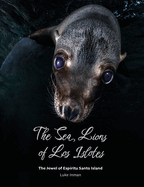 The Sea Lions of Los Islotes: The Jewel of Espritu Santo Island