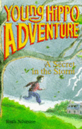 The Secret in the Storm - Silvestre, Ruth
