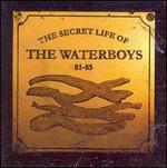 The Secret Life of the Waterboys 81-85