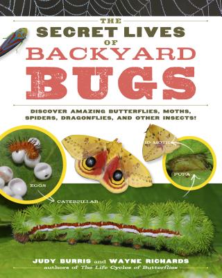 The Secret Lives of Backyard Bugs: Discover Amazing Butterflies, Moths, Spiders, Dragonflies, and Other Insects! - Burris, Judy, and Richards, Wayne