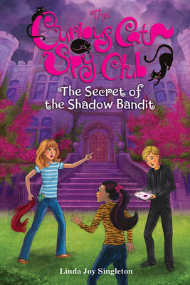 The Secret of the Shadow Bandit: Volume 4 - Singleton, Linda Joy
