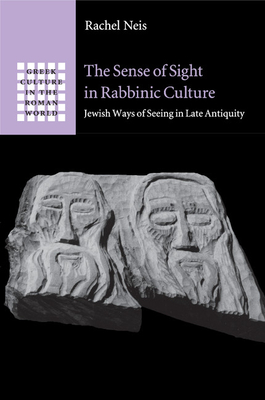 The Sense of Sight in Rabbinic Culture: Jewish Ways of Seeing in Late Antiquity - Neis, Rachel