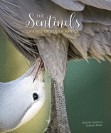 The Sentinels: Cranes of South Africa