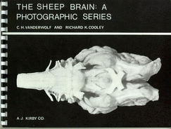 The Sheep Brain: A Photographic Series - Vanderwolf, C H