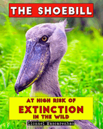 The Shoebill: At high risk of extinction in the wild