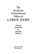 The social and environmental effects of large dams