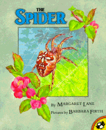 The Spider - Lane, Margaret