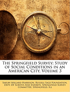 The Springfield Survey: Study of Social Conditions in an American City, Volume 3