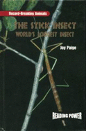 The Stick Insect: World's Longest Insect
