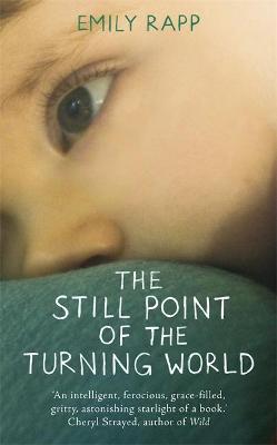 The Still Point of the Turning World - Rapp, Emily