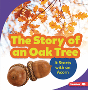 The Story of an Oak Tree: It Starts with an Acorn