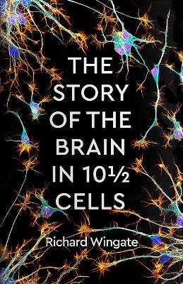 The Story of the Brain in 10 Cells - Wingate, Richard