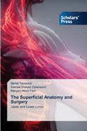 The Superficial Anatomy and Surgery