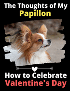 The Thoughts of My Papillon: How to Celebrate Valentine's Day