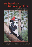 The Travails of Two Woodpeckers: Ivory-Bills & Imperials