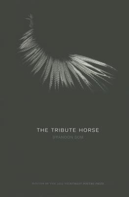 The Tribute Horse - Som, Brandon