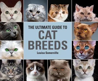 The Ultimate Guide to Cat Breeds: A Useful Means of Identifying the Cat Breeds of the World and How to Care for Them - Somerville, Louisa