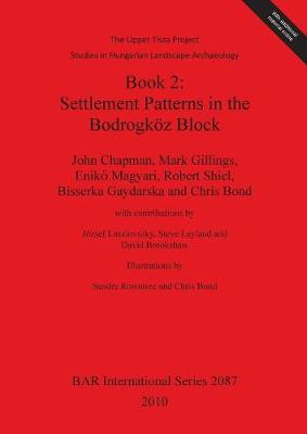 The Upper Tisza Project. Studies in Hungarian Landscape Archaeology. Book 2: Settlement Patterns in the Bodrogkoez Block: The Upper Tisza Project. Studies in Hungarian Landscape Archaeology. - Brookshaw, David, and Chapman, John, and Gaydarska, Bisserka, and Gillings, Mark, and Leyland, Steve, and Magyari, Enik, and...