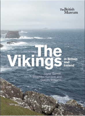The Vikings in Britain and Ireland - Carroll, Jayne, and Harrison, Stephen H., and Williams, Gareth