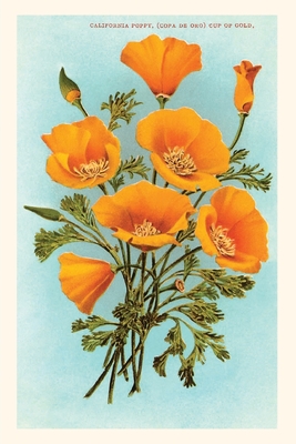 The Vintage Journal California Poppies - Found Image Press (Producer)