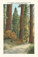 The Vintage Journal Sequoia National Park