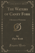 The Waters of Caney Fork: A Romance of Tennessee (Classic Reprint)