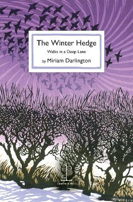 The Winter Hedge: Walks in a Deep Lane - Darlington, Miriam