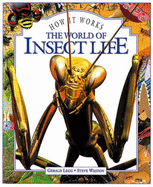 The World of Insect Life