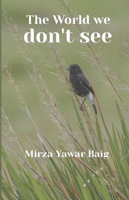 The World We Dont See - Baig, Mirza Yawar